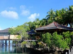 Kepulauan Derawan, Surga Wisata Bahari di Kabupaten Berau yang Memikat Wisatawan